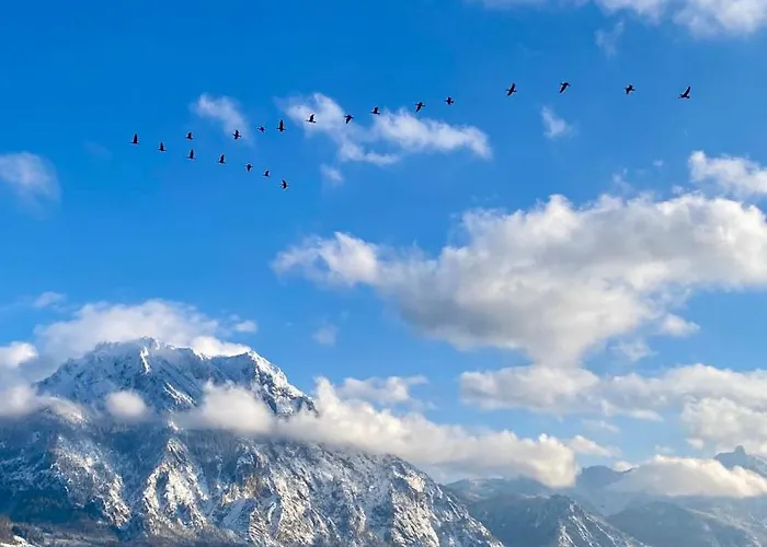 Modernes Am Traunsee - See, Berge, Fitness & Parkplatz Apartmán