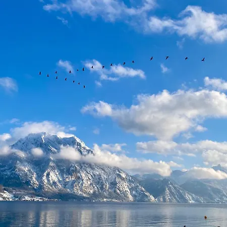 Modernes Am Traunsee - See, Berge, Fitness & Parkplatz Apartamento